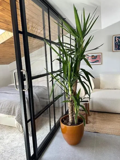 Appartamento Apartamento De Ensueno Mendiondo